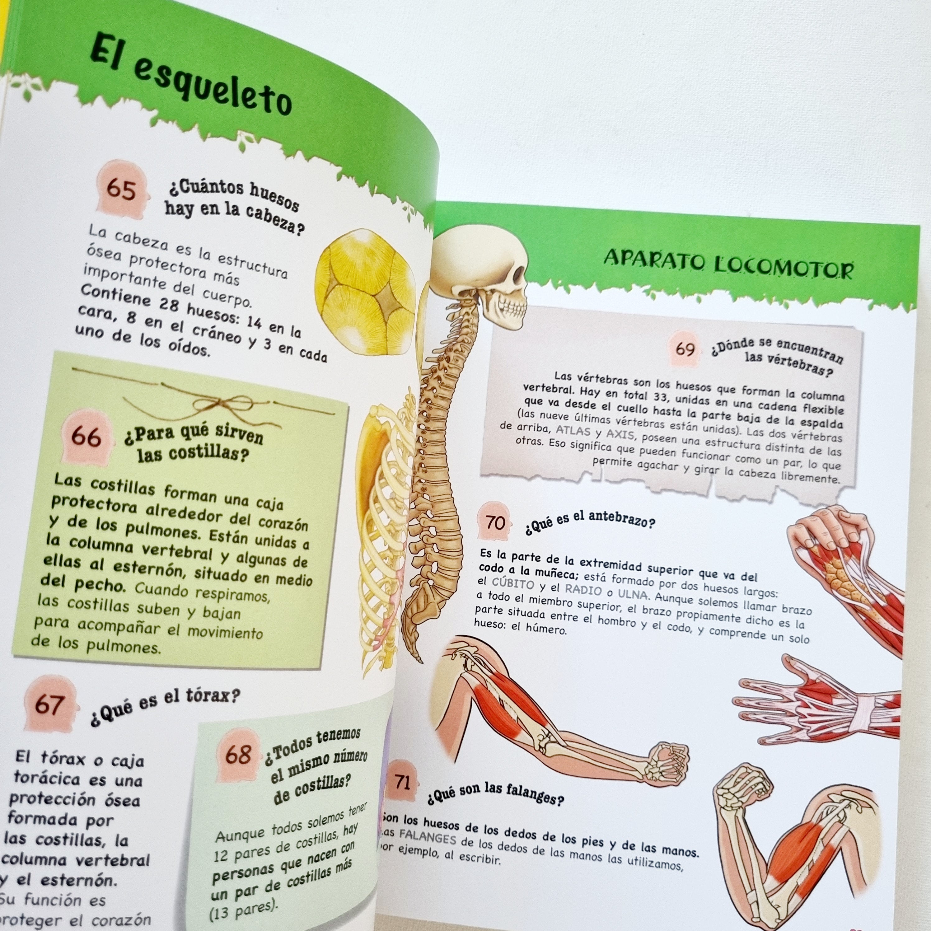500 preguntas y respuestas sobre el cuerpo humano 500 preguntas y respuestas sobre el cuerpo humano